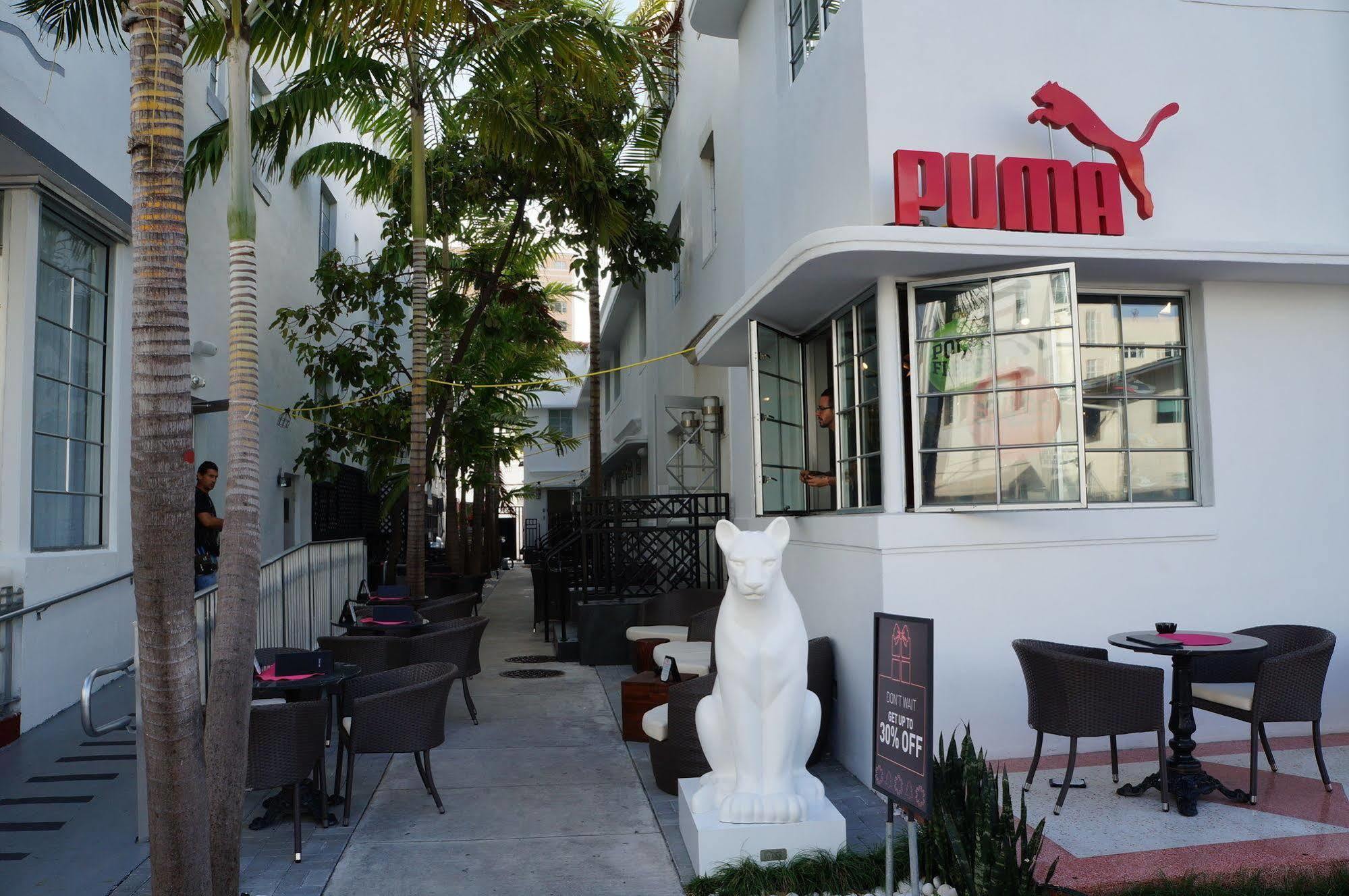 Posh South Beach Miami Beach Bagian luar foto